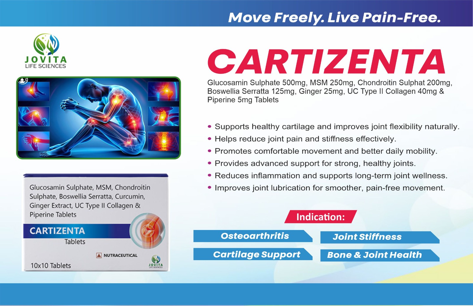CARTIZENTA